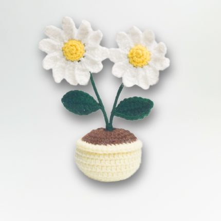 Handmade Crochet Daisy Flower Pot - Mitti Good Gifts